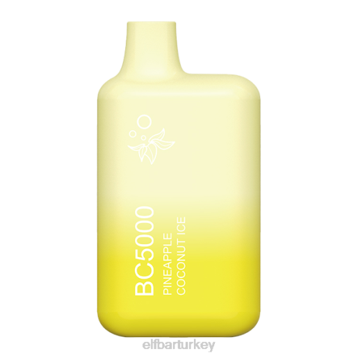 ananas hindistan cevizi buz bc5000 tüketici - tek ELFBAR 444Z39