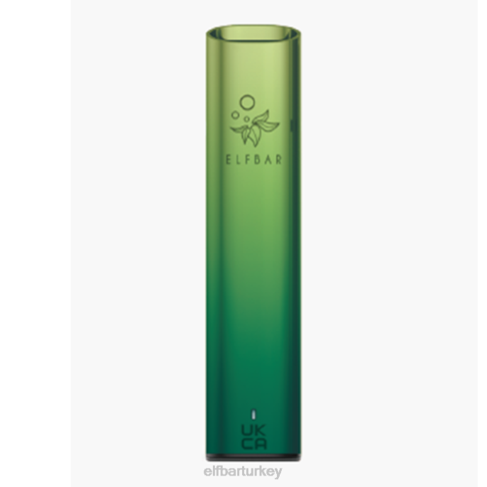 VVZ4137 elfbar mate 500 pod vape kiti - 500mah pil aurora yeşili