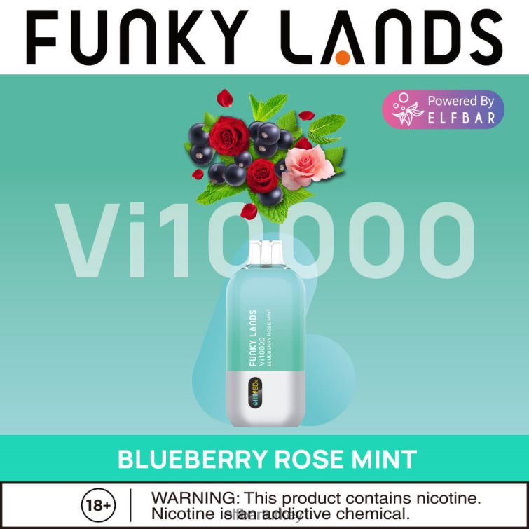 ELFBAR funkylands tek kullanımlık vape vi10000 ponponları TLB008163 yaban mersini gül nane